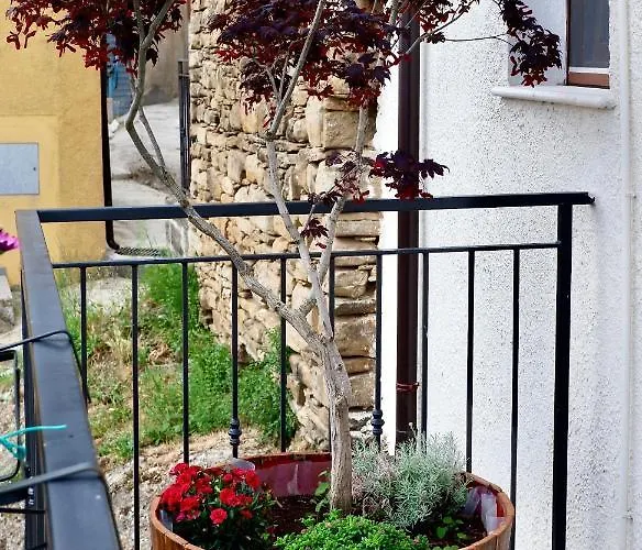 Гостевой дом Eureka & Breakfast