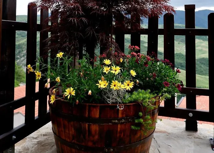 Eureka & Breakfast Пьетрапертоза